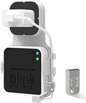 256GB Blink USB Flash Drive for Local Vi...