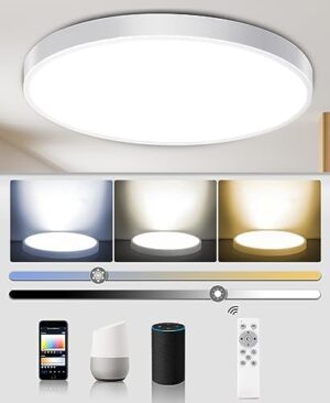 Smart Ceiling Light Fixture Flush Mount ...