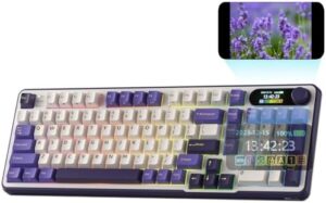 RK ROYAL KLUDGE S98 Mechanical Keyboard ...