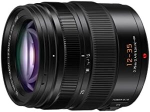 Panasonic LUMIX G Series Camera Lens, 12...