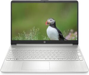 HP 15.6" HD Busienss Laptop Computer, 6-...