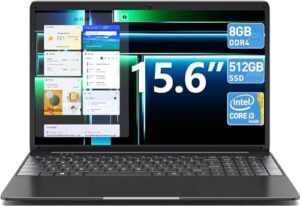 SGIN 15.6 Inch Laptop, 8GB DDR4 512GB SS...