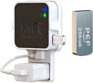 256GB Blink USB Flash Drive for Local Vi...