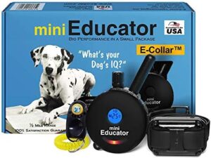 Educator - ET-300 Black - Ecollar Dog Tr...